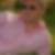 Profilbild von Martin Lensing