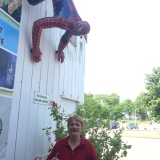 Profilfoto Sigrun Neumann Profilfoto von Sigrun Neumann