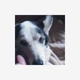 Profilfoto Uta König Profilfoto von Uta König