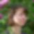 Profilbild von Catrin Jytte Herbst