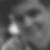 Profilbild von Ronald Oertel