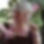 Profilbild von Steffi Körner