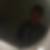 Profilbild von Antonio Amodeo