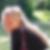 Profilbild von Jessica Wolf