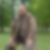 Profilbild von Lutz Goepel