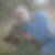 Profilbild von Christian Triem