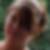 Profilbild von Sabrina Reinke