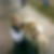 Profilbild von Anke Dyck