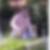 Profilbild von Ralf Nowotny