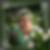 Profilbild von Nicole Heinen