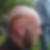 Profilbild von Dominik Zängler