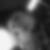 Profilbild von Nikolas Wiltz