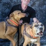 Profilfoto von Karl-Heinz Fischer