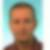 Profilbild von Peter Schäffer