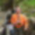 Profilbild von Uwe Schumann