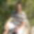 Profilbild von Tom Pavelt