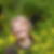 Profilbild von Anneliese Dehne