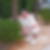 Profilbild von Marcus Dulitz