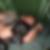 Profilbild von Achim Lochmann