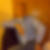 Profilbild von Andreas Rüsenberg