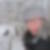 Profilbild von Daniela Trippner