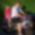 Profilbild von Thomas Witt