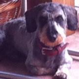 Profilfoto von Annegret Baumgart