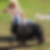 Profilbild von Sabine Schütte