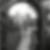 Profilbild von Jens Thiers