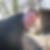 Profilbild von Holger Labahn
