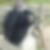Profilbild von Wolfgang Johann