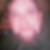 Profilbild von Carsten Heine