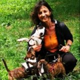 Profilfoto von Bettina Schmidt