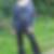 Profilbild von Alla Tissen