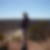 Profilbild von Thomas Sommer