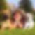 Profilbild von Ramona Wagner
