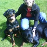 Profilfoto von Susanne Strehle