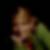 Profilbild von Henrike Beckmann