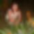 Profilbild von Annett Christelsohn