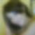 Profilbild von Sarah Woermann