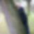 Profilbild von Bärbel Neidhöfer