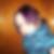 Profilbild von Denise Goldschmidt
