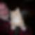 Profilbild von Frank Muckof