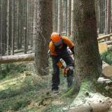 Profilfoto von Joachim Rücker