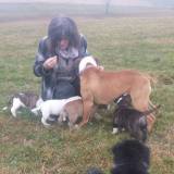 Profilfoto von Ingrid Sibold