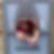 Profilbild von Stefan Stieler