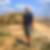 Profilbild von Hanns Sell