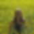 Profilbild von Kathrin Wendel