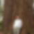Profilbild von Sven Fichtner