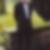 Profilbild von Frank Eckholt